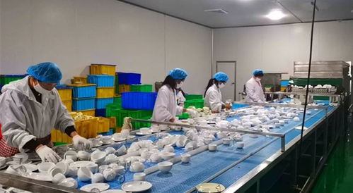 山東菏澤強化餐飲具衛生監管，筑牢群眾用餐安全防線