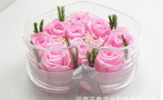 真空玫瑰的魅力 云南菲麗雅保鮮花成為節(jié)日禮品新寵