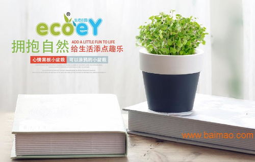 植物與心情對話 體驗(yàn)ecoey迷你陶瓷花盆的文創(chuàng)美學(xué)