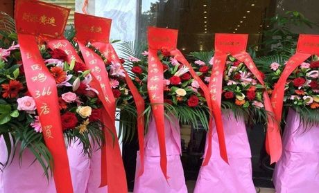【深圳聚福花卉團購】聚福花卉經(jīng)濟型開業(yè)花籃1個團購|價格|圖片_美團網(wǎng)